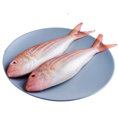 Sea Fish